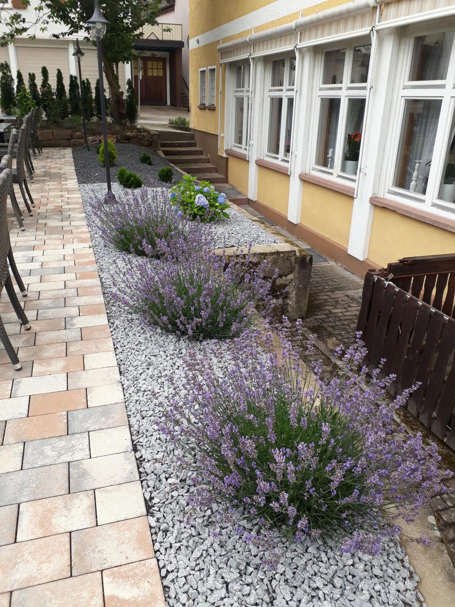 Hotel Eleon Bad Teinach-Zavelstein Zewnętrze zdjęcie